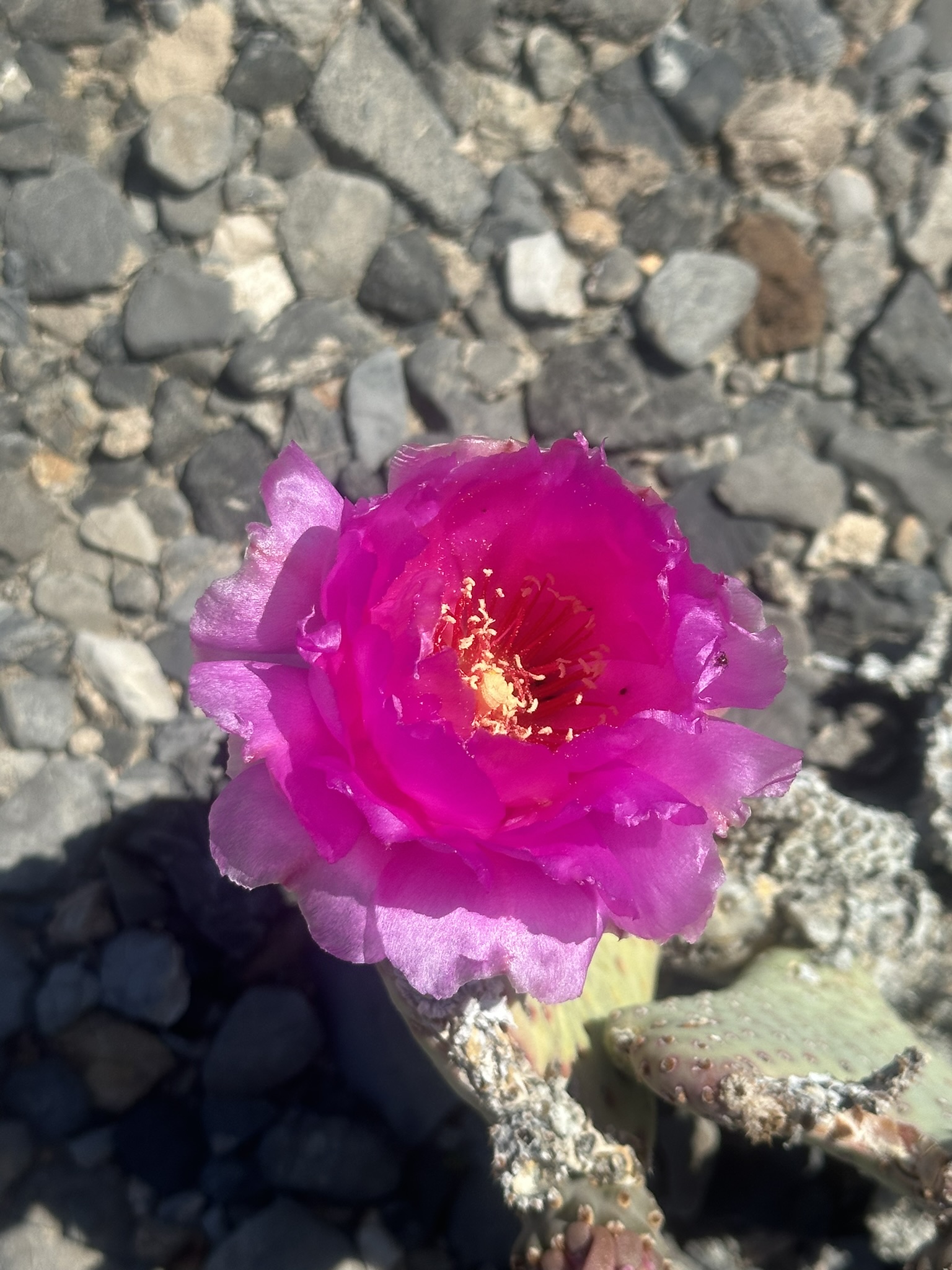 United States-National Parks-Other - Image 1030